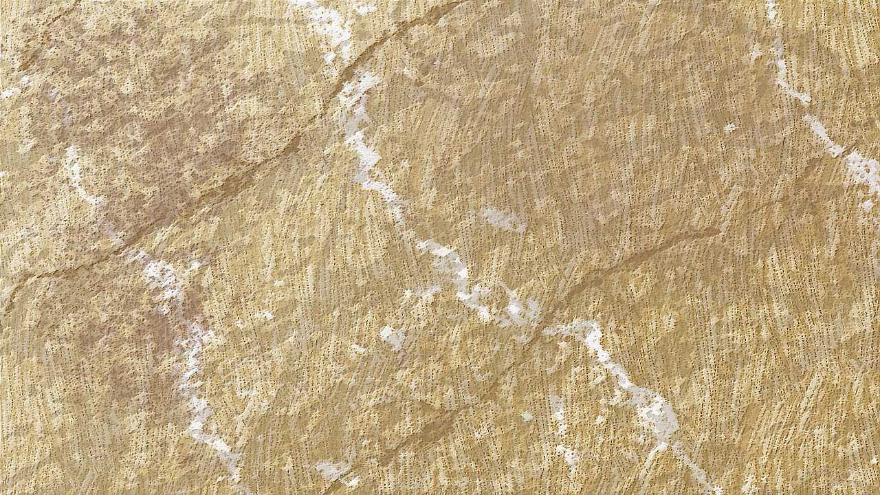 backdrop sample 29