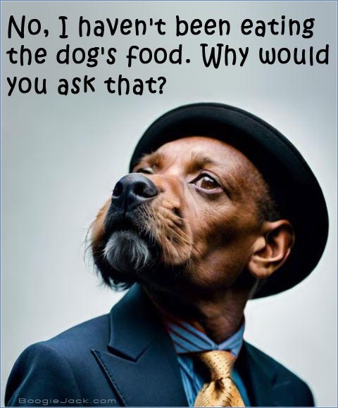 meme sample 2