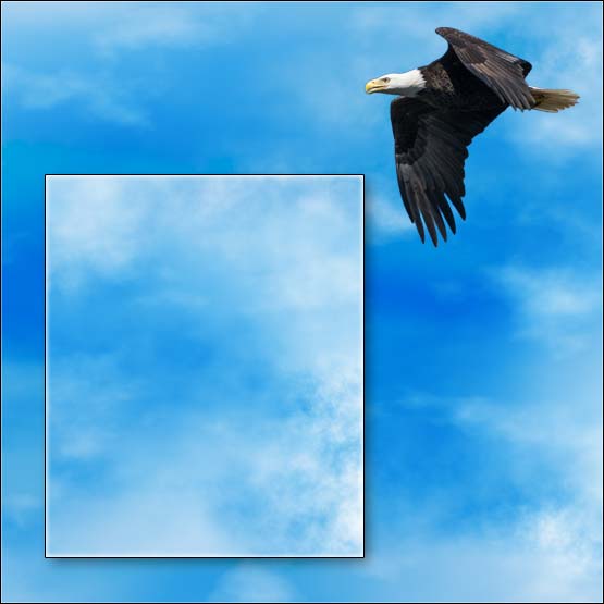 graphic template sample 12
