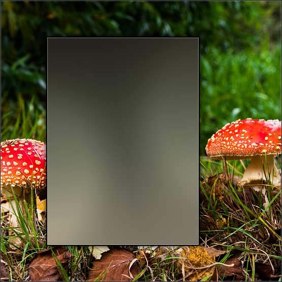 graphic template sample 26