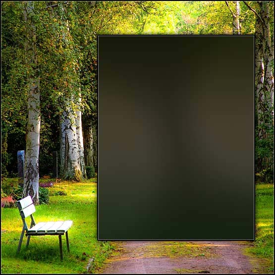 graphic template sample 27